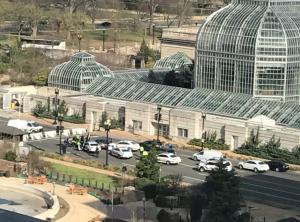 BREAKING NEWS Congresul American e blocat după ce s-au raportat focuri de armă la Washington, pe Capitol Hill