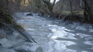 DEZASTRU ECOLOGIC în Alba! 6.000 metri cubi de steril au ajuns în râul Arieș, din cauza unei defecțiuni la iazul de decantare al companiei Cupru Min