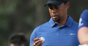 Tiger Woods a fost arestat în Florida, dis de dimineaţă, fiind suspect că a condus sub influenţa unor substanţe