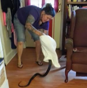 Curajul ei a devenit viral pe internet! O femeie a devenit vedetă în online, după ce a capturat un şarpe, care s-a strecurat în casa sa (VIDEO)