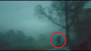 VIDEO TERIFIANT cu furtuna care a devastat campingul din Bihor! Copacii se prăbușesc în zona de corturi!