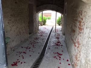 COPLEȘITOR. Ultimul drum al Denisei, acoperit cu petale de trandafiri (GALERIE FOTO)