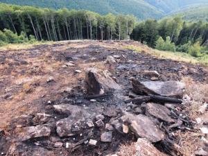 Ce se ASCUNDE în spatele incendiilor de pădure din Semenic: Anchetă a Corpului de Control al ministrului Apelor şi Pădurilor, după dezvălurile făcute de senatorul Mihai Goțiu