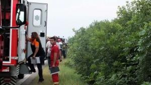 ACCIDENT cu ȘASE RĂNIȚI in Teleorman! Două mașini s-au ciocnit, pe E70. Cinci dintre răniţi sunt cetăţeni bulgari