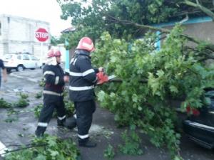 URGIA naturii face RAVAGII în toată România! Peste 130 de copaci doborâţi de vânt, cinci străzi blocate, o casă şi cinci maşini avariate şi zece răniţi, în urma vijeliei de marţi seară, la Galaţi