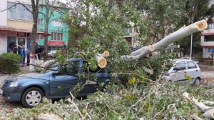 Bilanţ dezastruos în ţară: Furtunile au ucis oameni, au smuls copaci din rădăcini şi au doborât zeci de acoperişuri