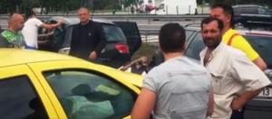 JOIA NEAGRĂ pe şoselele din România! Grav ACCIDENT pe Autostrada Soarelui, unde o şoferiţă începătoare A INTRAT ÎN PLIN într-o familie!