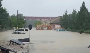 Puternice inundații la Cernavodă! Maşinile şi curţile oamenilor abia se mai zăresc de apă, în urma ploilor torenţiale (GALERIE FOTO)