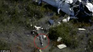 DRAMATIC! O echipă de televiziune filmează MOMENTUL ŞOCANT în care pilotul unui avion prăbuşit în Florida este DEVORAT de un crocodil (VIDEO)
