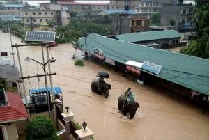 Inundații CATASTROFALE în Nepal! Sute de turiști aflați într-un parc safari au fost salvați de ELEFANȚI. Imagini dramatice