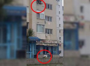 Imaginea zilei în România. Un căţel a fost plimbat în lesă de la etajul 3 - FOTO