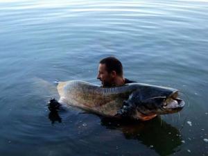Un pescar a reușit să prindă un MONSTRU în DUNĂRE! Cum arată GIGANTUL care a primit sute de like-uri pe Facebook