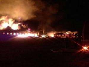 Explozie urmată de un incendiu la o fabrică de uleiuri din Orăștie - zeci de pompieri mobilizați. Pericol uriaș de poluare (FOTO, VIDEO)