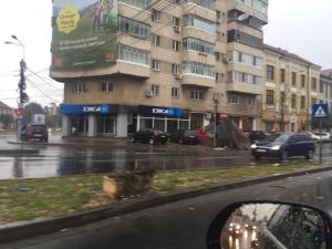ALERTĂ METEO! ANM anunță COD PORTOCALIU de fenomene periculoase. VIJELIA a smuls copaci, acoperișuri și panouri publicitare la Timișoara (FOTO)