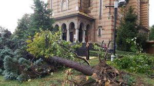 DEZASTRU în vestul țării după furtunile de ieri! 8 oameni AU MURIT, 137 au fost răniți. 300 de copaci au fost doborâți și sute de acoperișuri au fost smulse de rafalele de vânt (FOTO, VIDEO)