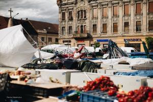 Urmările DEZASTRULUI! Cum arată orașul Timișoara după furtuna devastatoare de ieri (GALERIE FOTO)