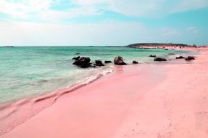 Cea mai frumoasă plajă ROZ din lume! Specialiştii confirmă că totul este REAL - GALERIE FOTO