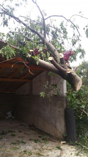 Case DISTRUSE, copaci puşi la pământ şi acoperişuri smulse! Furtuna a făcut PRĂPĂD în zeci de localităţi din ţară - FOTO