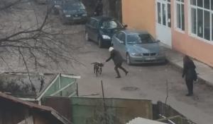 Scene şocante în centrul Iaşului! Doi câini boxeri atacă o fată de 22 ani, muşcă un tânăr în zona inghinală, iar pe tatăl lui îl apucă de mâini (Video)
