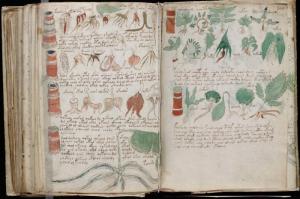 Misteriosul manuscris Voynich, descifrat după 600 de ani? Un profesor susține că a descoperit limba în care e scrisă cea mai ciudată carte din lume (Foto)