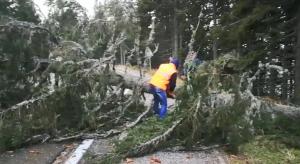 Ninsorile şi vântul puternic fac prăpăd în ţară. Morţi, răniţi, copaci rupţi, oameni blocaţi în zăpadă, maşini derapate (Video)