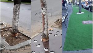 După copaci ciopliți la Slatina ca să intre într-o tablă, gazon artificial la Bacău, pentru că nu trebuie tuns sau udat (Foto)