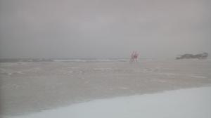 Imagini dezolante la malul mării! Cum arată o plajă din Vama Veche, în mijlocul urgiei