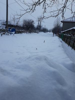 Sate din Teleorman îngropate în zăpadă, mii de oameni izolaţi cer disperaţi ajutorul: "Suntem uitaţi de lume aici! Nu mai avem pâine, medicamente" (Video)