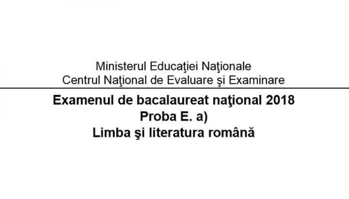 Ce Trebuie Sa Invat Pentru Bac La Romana Subiectul 3 - 5