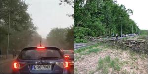 Furtună violentă în București! Grindina și vântul puternic au doborât copaci în mai multe zone ale orașului (Video)
