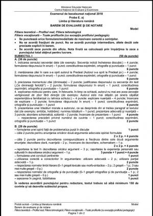 Barem subiecte Bac 2018 română profil real: rezolvarea modelelor de subiecte la Bacalaureat
