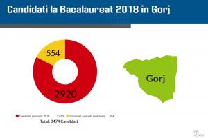 Rezultate Bac 2018 Gorj pe Edu.ro. Notele obținute de elevi