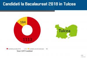 Rezultate Bac 2018 Tulcea pe Edu.ro. Notele pentru elevi