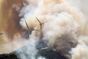 Incendii puternice de vegetaţie în Spania, din cauza caniculei