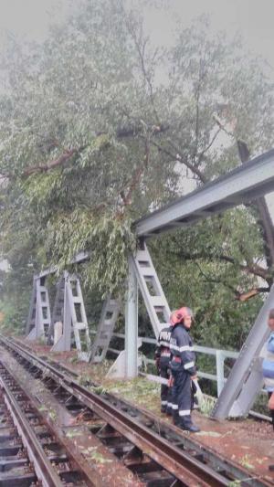 O furtună a făcut ravagii în Râmnicu Vâlcea! Copaci doborâți, străzi inundate, trafic pe calea ferată întrerupt (Video)