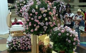 Aretha Franklin, omagiată de mii de oameni în prima zi a funeraliilor. Imaginea cu regina muzicii soul picior peste picior în sicriul aurit i-a șocat pe fani (Video)