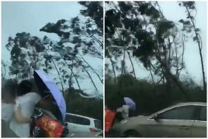 Video șocant! Două tinere sunt strivite de un copac smuls de taifunul Mangkhut, în Filipine