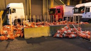Un şofer român de TIR, arestat în Anglia. Droguri de 27 de milioane de lire în containerul de pe camionul lui