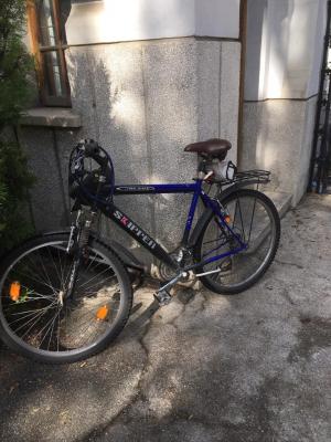 Deputat venit la convorbirile cu Iohannis, nevoit să lase bicicleta la poartă la Cotroceni