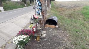 De două săptămâni, un câine stă în locul unde a murit un tânăr, lângă crucea băiatului, pe marginea unui drum din Iaşi