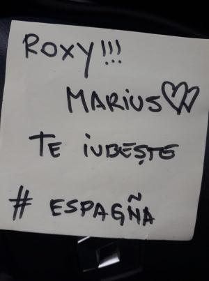 "Roxy, Marius te iubeşte!" Zeci de şoferi români din toată lumea transmit acest mesaj pe Facebook