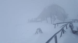 Ninge de ore bune pe Transfăgărăşan! Stratul de zăpadă depăşeşte deja 10 centimetri (Video)