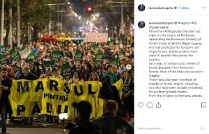Leonardo DiCaprio, mesaj despre pădurile din România, postat pe Instagram