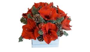 De Craciun, fa-le o bucurie celor dragi daruindu-le cele mai frumoase aranjamente florale!