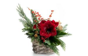 De Craciun, fa-le o bucurie celor dragi daruindu-le cele mai frumoase aranjamente florale!