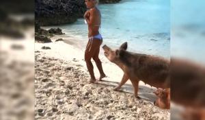 Tânără, vedetă pe Instagram, muşcată de un porc pe o plajă exotică din Bahamas