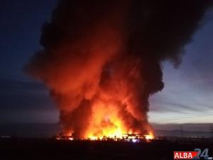 Noi imagini teribile de la Alba Iulia, unde arde cea mai mare fabrică de condimente din România (video)