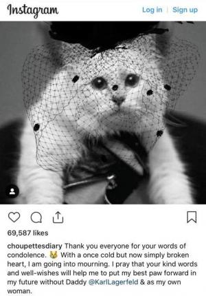 Pisica lui Karl Lagerfeld, în doliu pe Instagram: 'Am inima frântă'