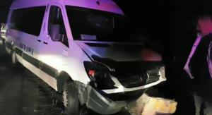 Accident cu 11 victime în Mehedinţi, după ce şoferul unui microbuz a pierdut controlul volanului (Video)