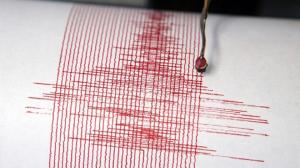 Cutremur de magnitudine importantă în România. Epicentrul a fost localizat în Buzău, la 113 de kilometri adâncime